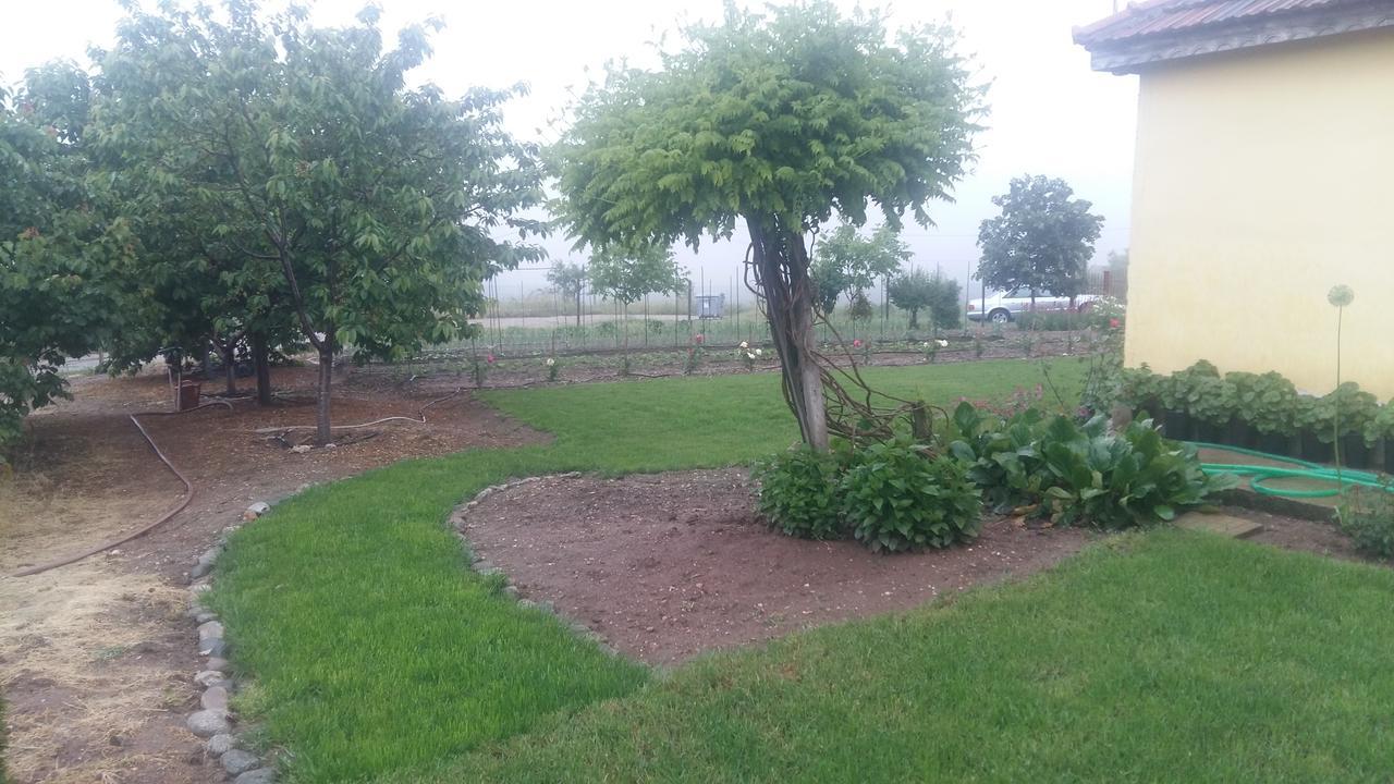 Guest House Gorski Kut Granitowo Zewnętrze zdjęcie